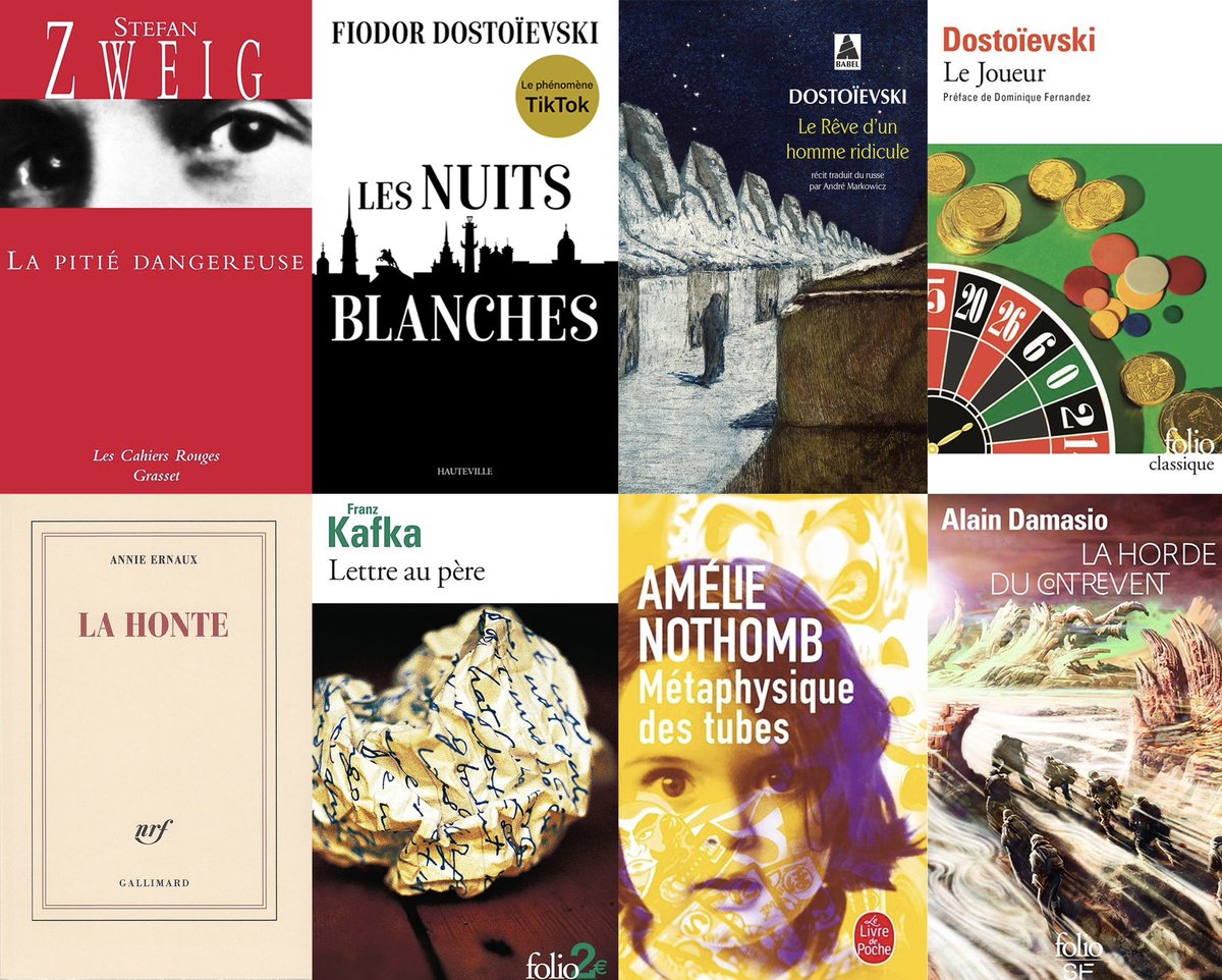 Les livres que j'ai lu récemment:

La pitié dangereuse : 10/10
Les nuits blanches : 9/10
Le rêve d'un homme ridicule : 6/10
Le joueur : 7/10
La honte : 5/10
Lettre au père : 7/10
Métaphysique des tubes : 7.5/10
Horde du Contrevent : 8.5/10
(pas encore fini)

Je prends les recos!