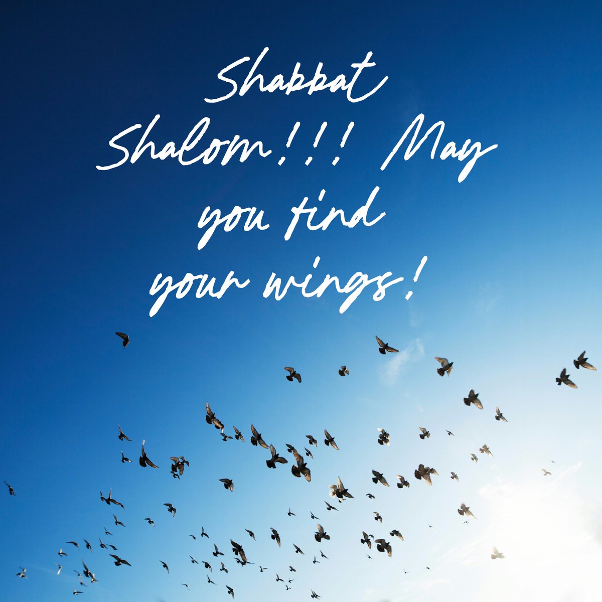 Larry Jaffe tweet media