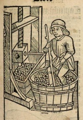 Pier de Crescenzi's Ruralia commoda and the discussion on vine and wine 🍇#agriculture #rustic #vino #medieval #practices