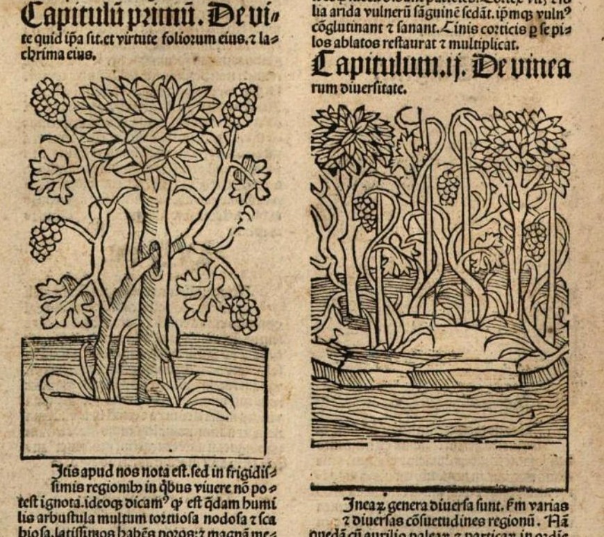 Fabrizio Baldassarri tweet media