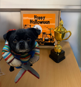 Pali Ltd tweet media