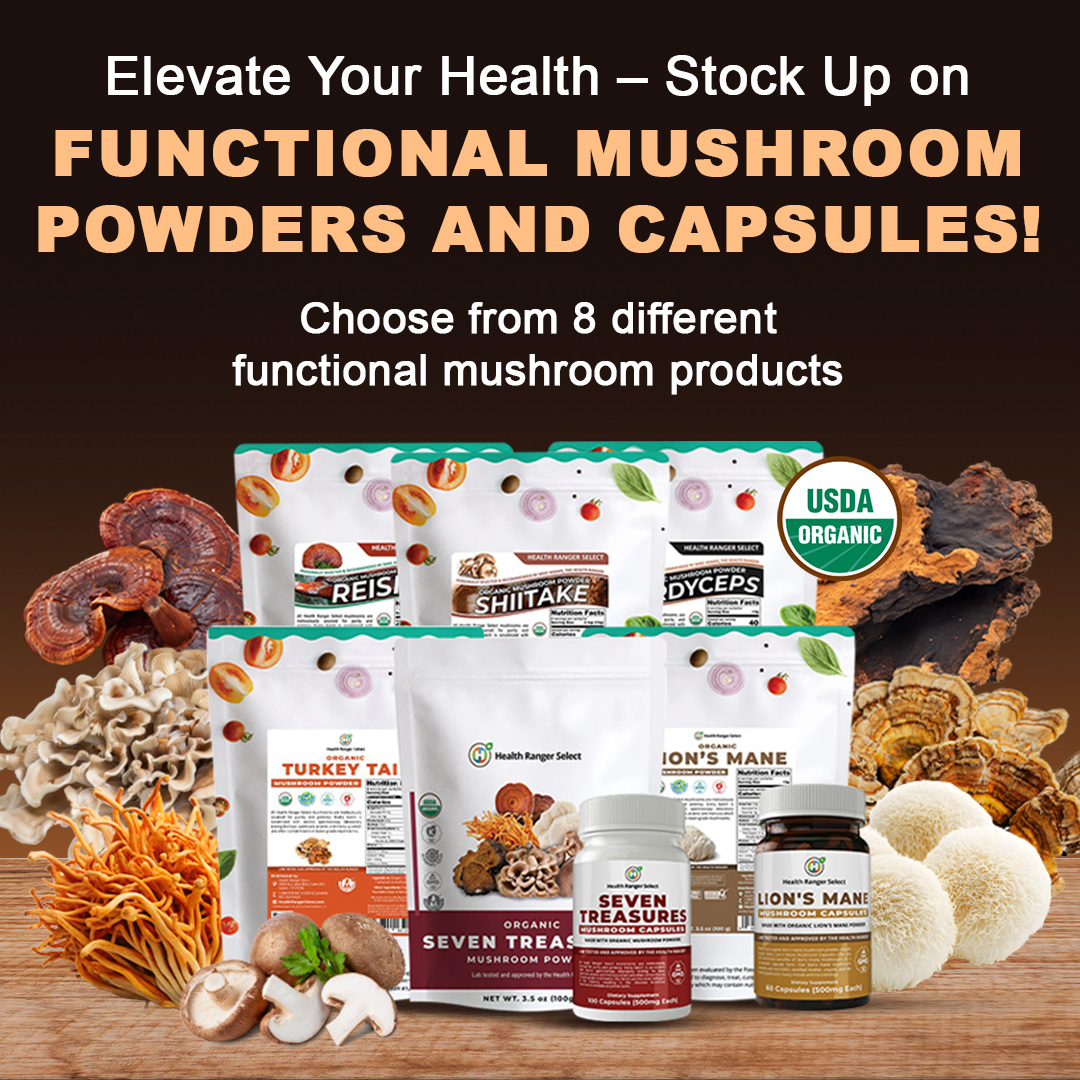 OfficialHRStore's tweet image. Unlock the Power of Nature: Lab-Verified Functional Mushrooms

🛒Shop now at the Health Ranger Store 

#functionalmushroom #wellness #organic #remedies #nonGMO #LabTested #superfoods #clean #healthyliving