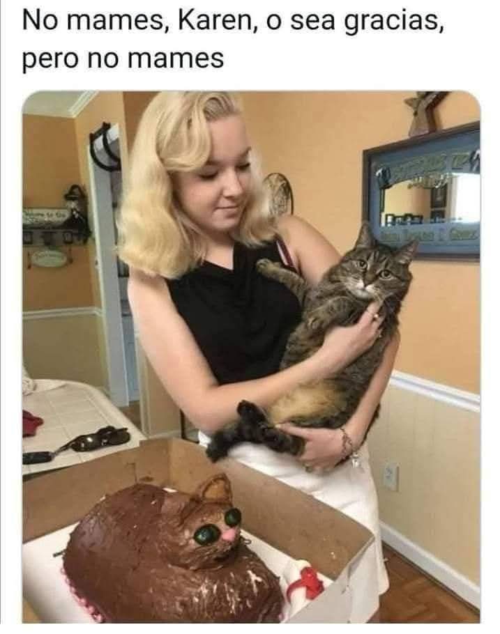 Cantinfladas (@elcantss) on Twitter photo 