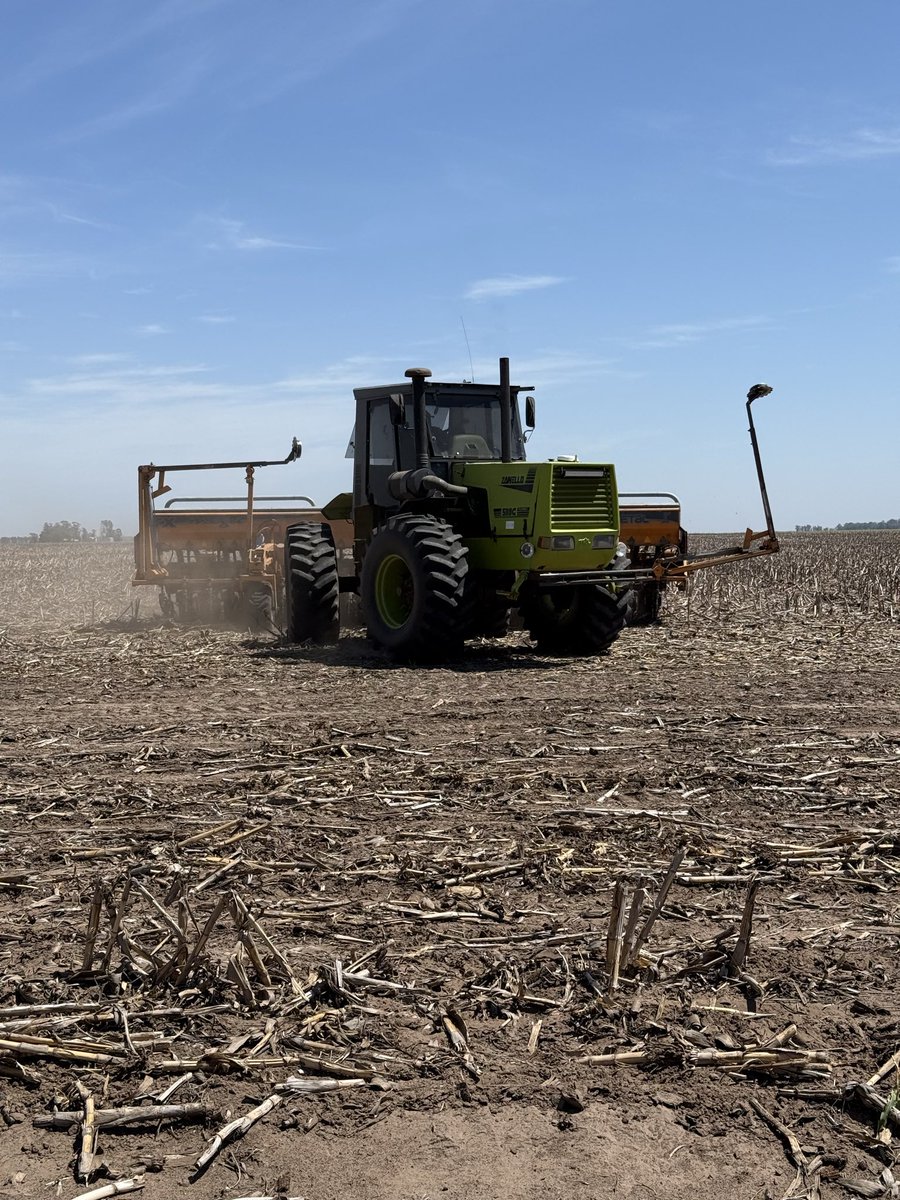 Lucía Socolsky tweet media