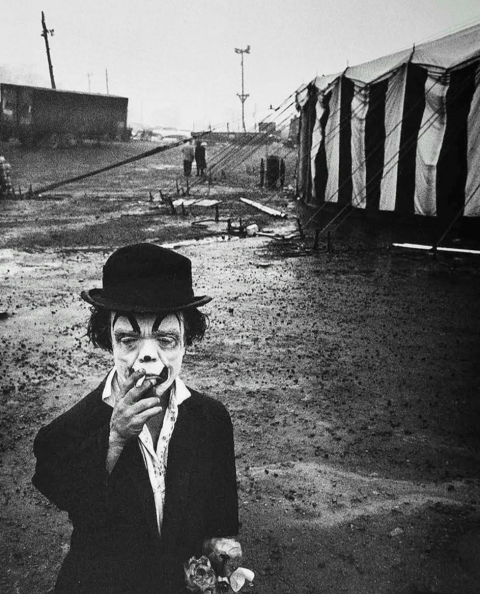 David Pugh tweet media