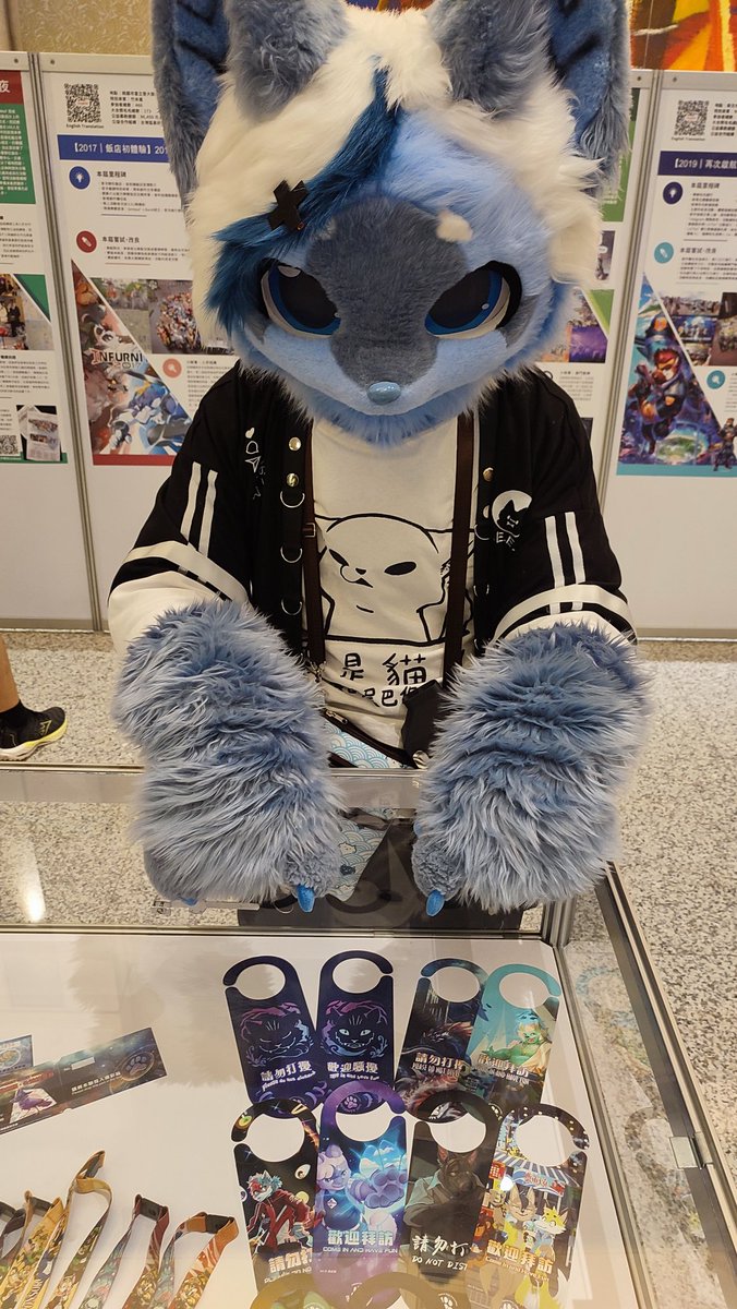 三次元乗貳貓 tweet media