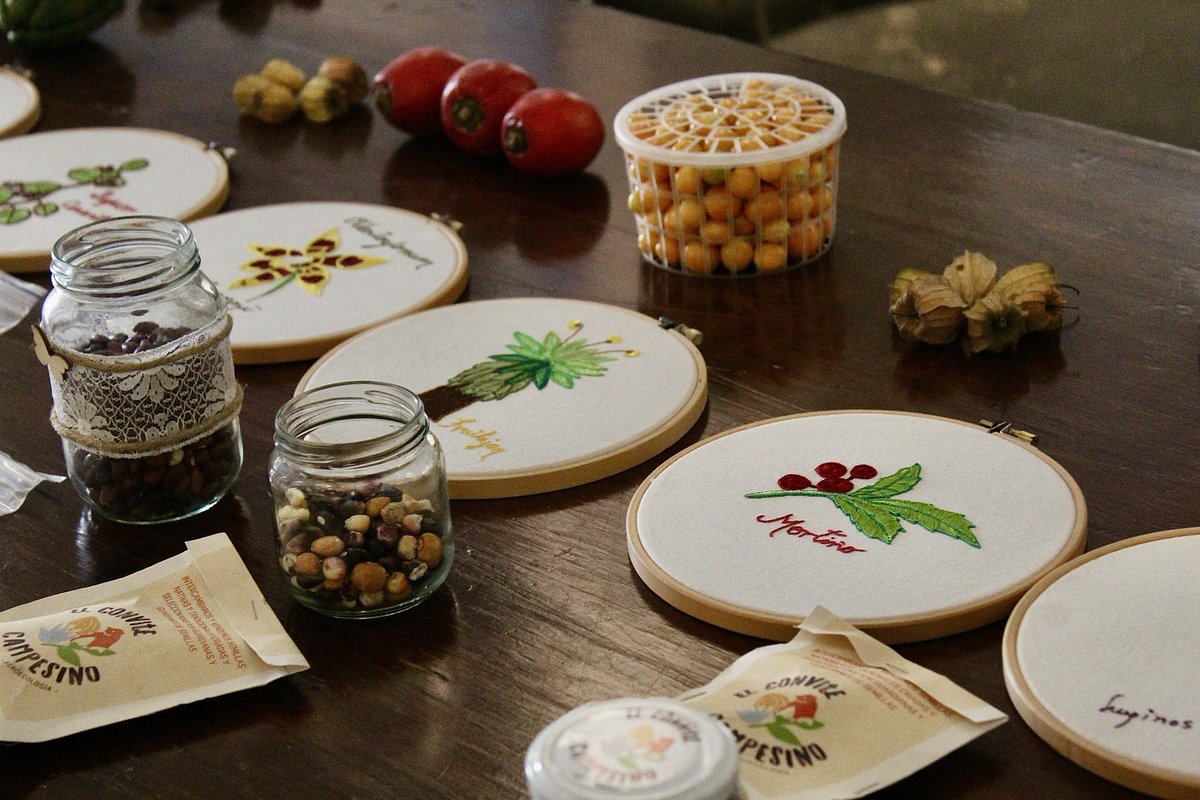 En las montañas donde nace el agua, las mujeres rurales están liderando el cambio.

💧Conoce cómo más de 3.000 familias y 40 organizaciones están transformando sus territorios y cuidando los páramos desde una visión agroecológica y solidaria.

👉 Lee la historia completa en