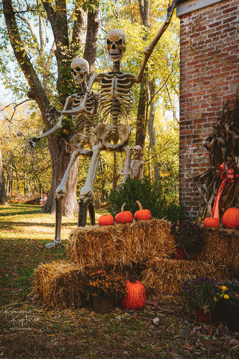 Feeling the Halloween vibe right down to the bone! 💀🎃🕺

Hope your day is full of treats and terribly good times. Get spooky!

#KarissasKaptures #allairestatepark #allairevillage  #Halloween2025 #SkeletonVibes #ItsFrightNight #HappyHalloween #LandscapePhotography