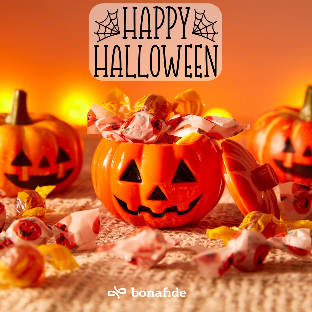 Bonafide Marketing tweet media