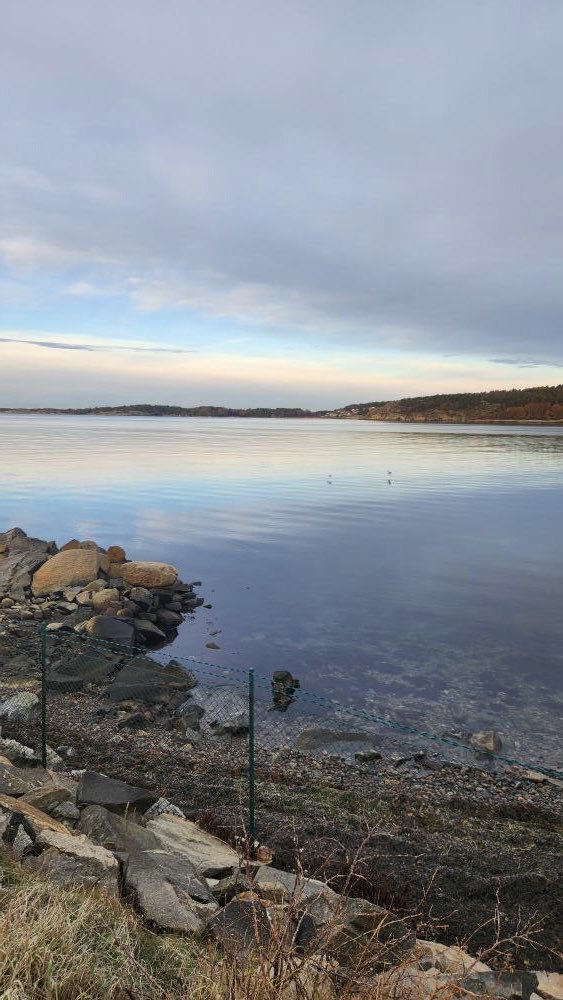 Thanks to allemansrätten, I get to enjoy so much nature anytime. 🇸🇪