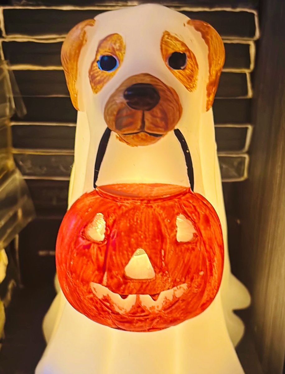 Happy Halloween 🎃🇵🇷