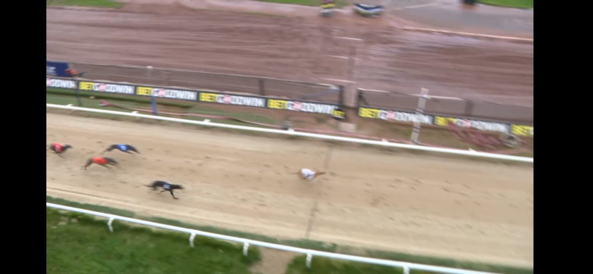 Top Value Tipster tweet media