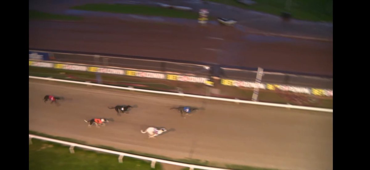 Top Value Tipster tweet media