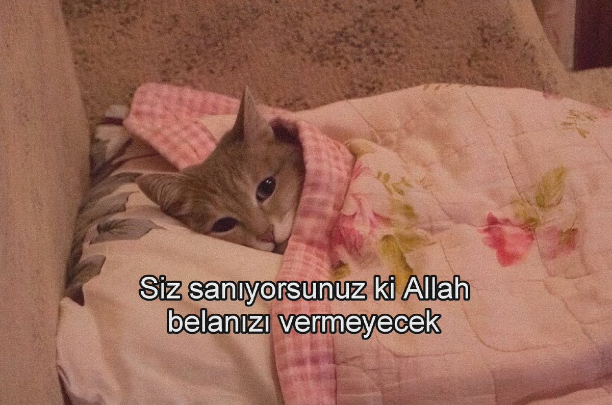 kaan (@bariskaanercan) on Twitter photo 