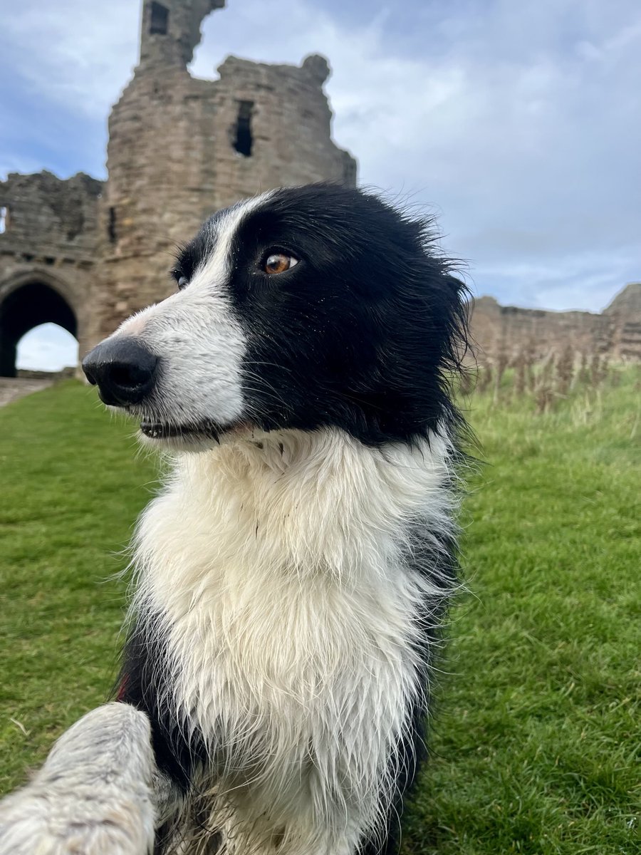 Today, I have been mainly swimming in the sea 😉