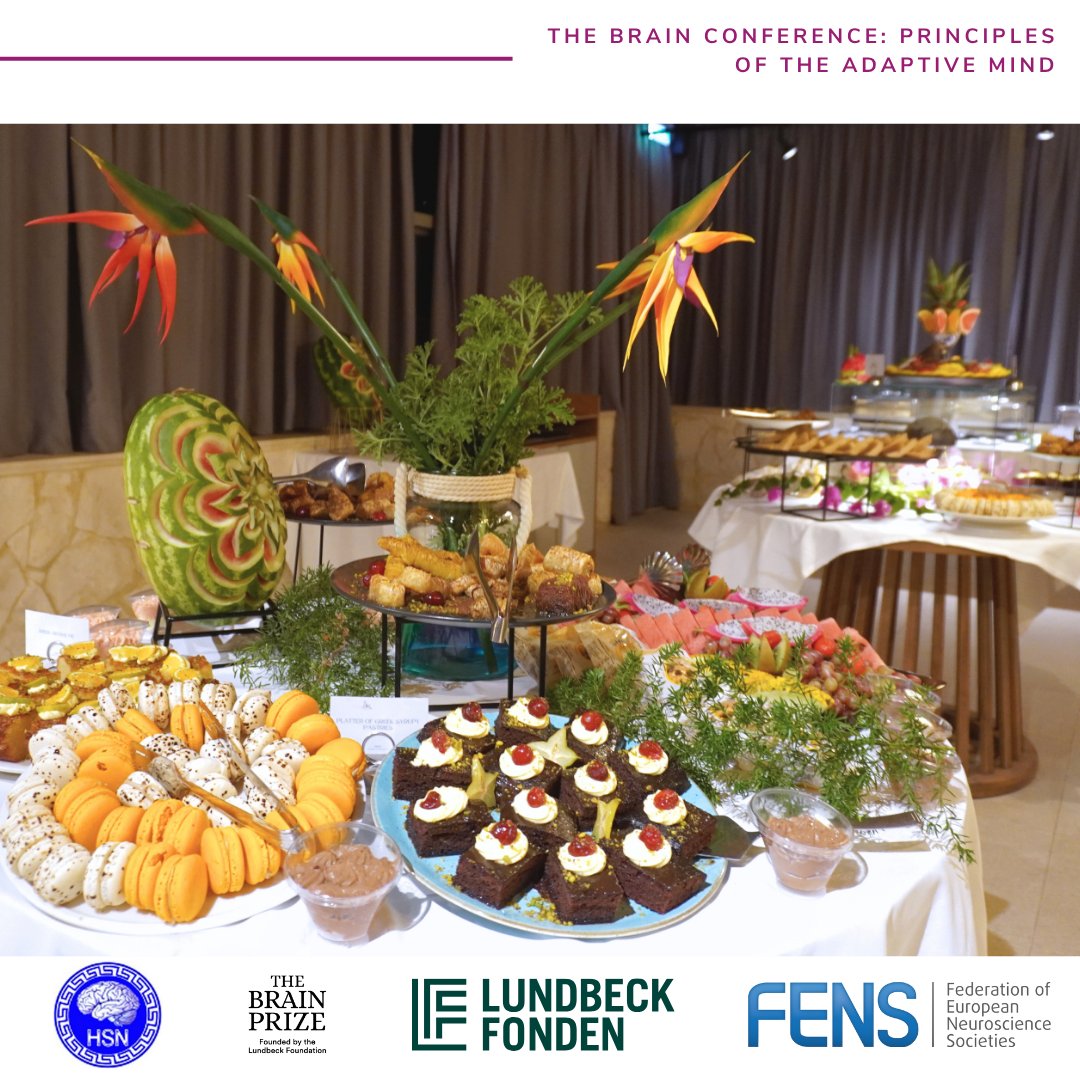 FENSorg's tweet photo. 🧠 The Brain Conference Wrap-up: Day 4

🇬🇷 The Brain Conference: Principles of the Adaptive Mind concluded today with an exciting final day of talks, discussion, and community.

👉 Learn more: https://t.co/Mnlkttw4xa https://t.co/7izZWySnXj