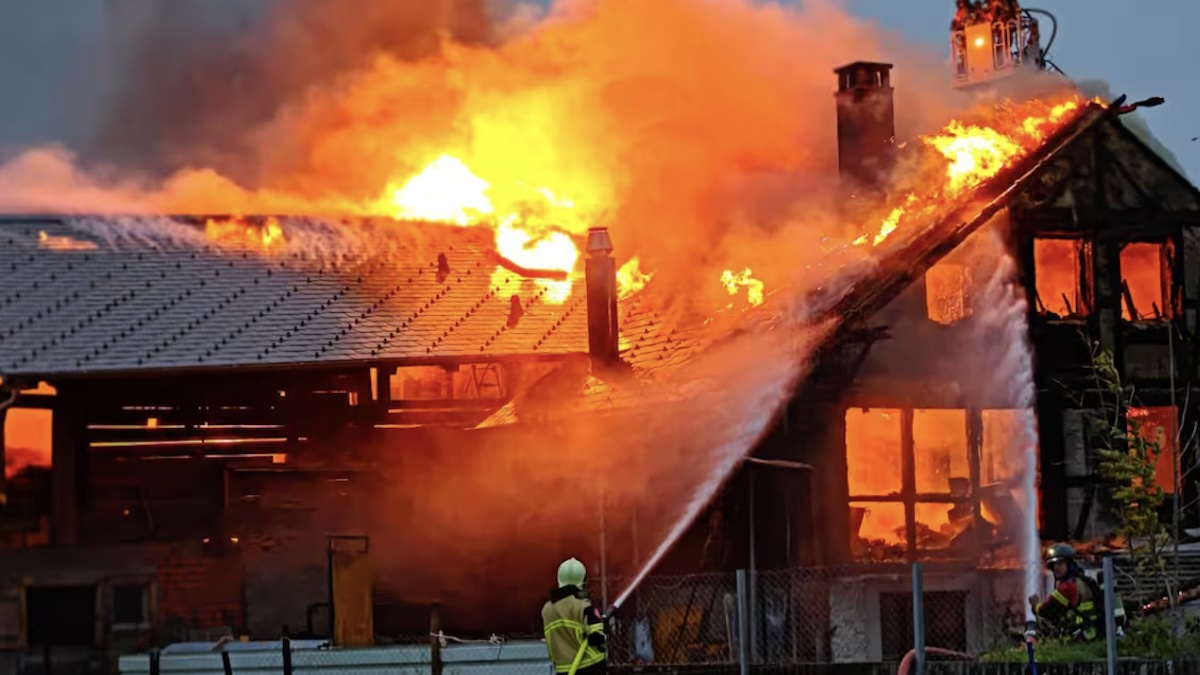 Sports_Infos_'s tweet image. La maison d’enfance du champion du monde ravagée par les flammes
🇨🇭🇨🇭
Ski alpin - Médaillé d'or en descente durant les mondiaux de Sestriere, médaillé olympique, le Suisse Bruno Kernen a le coeur gros.
➡️➡️
tinyurl.com/yeateb6k