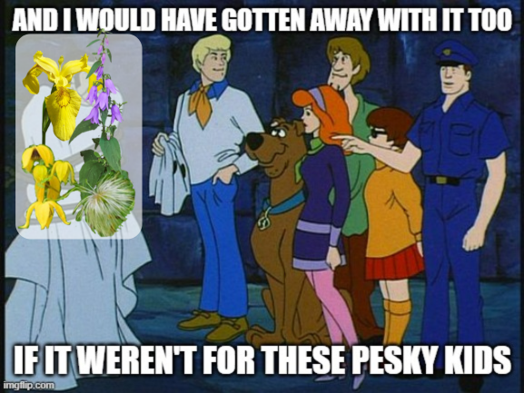 Cows and Fish | Riparian Management Society tweet media