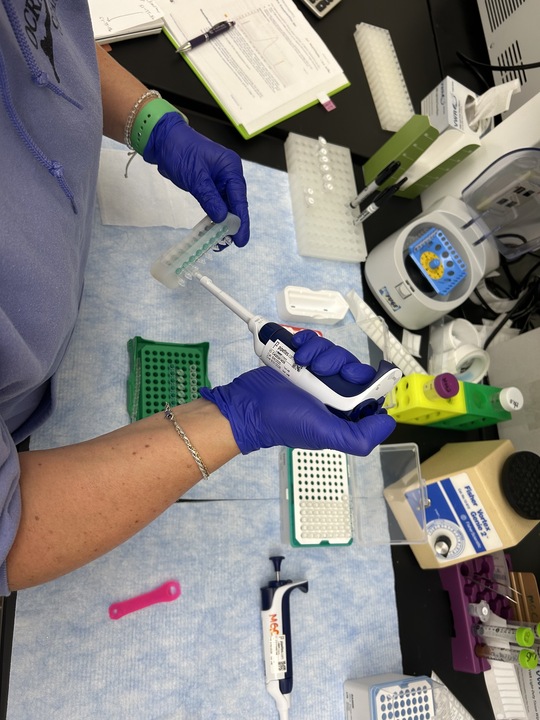 Gregory Lab tweet media