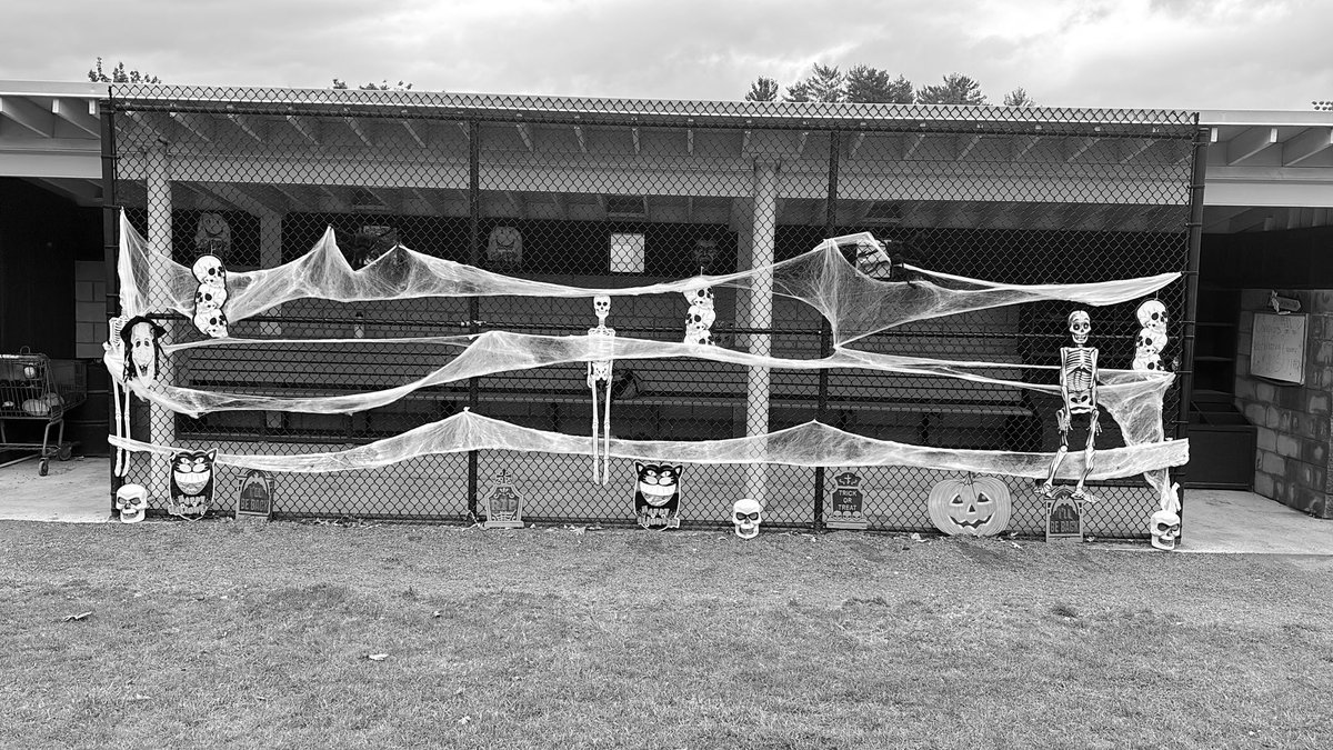 Coach Hough Westfield State Softball tweet media