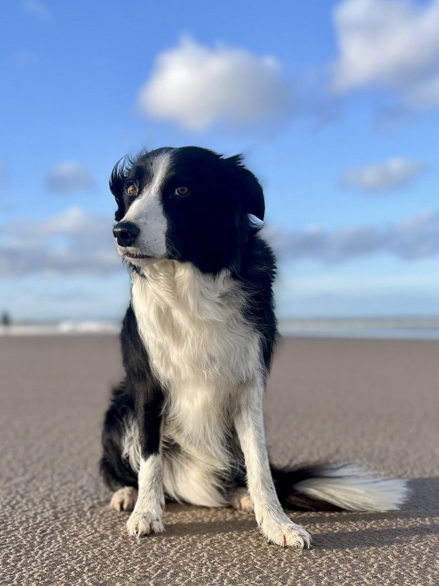 Hello X frends - I’m back 🎉😂😘