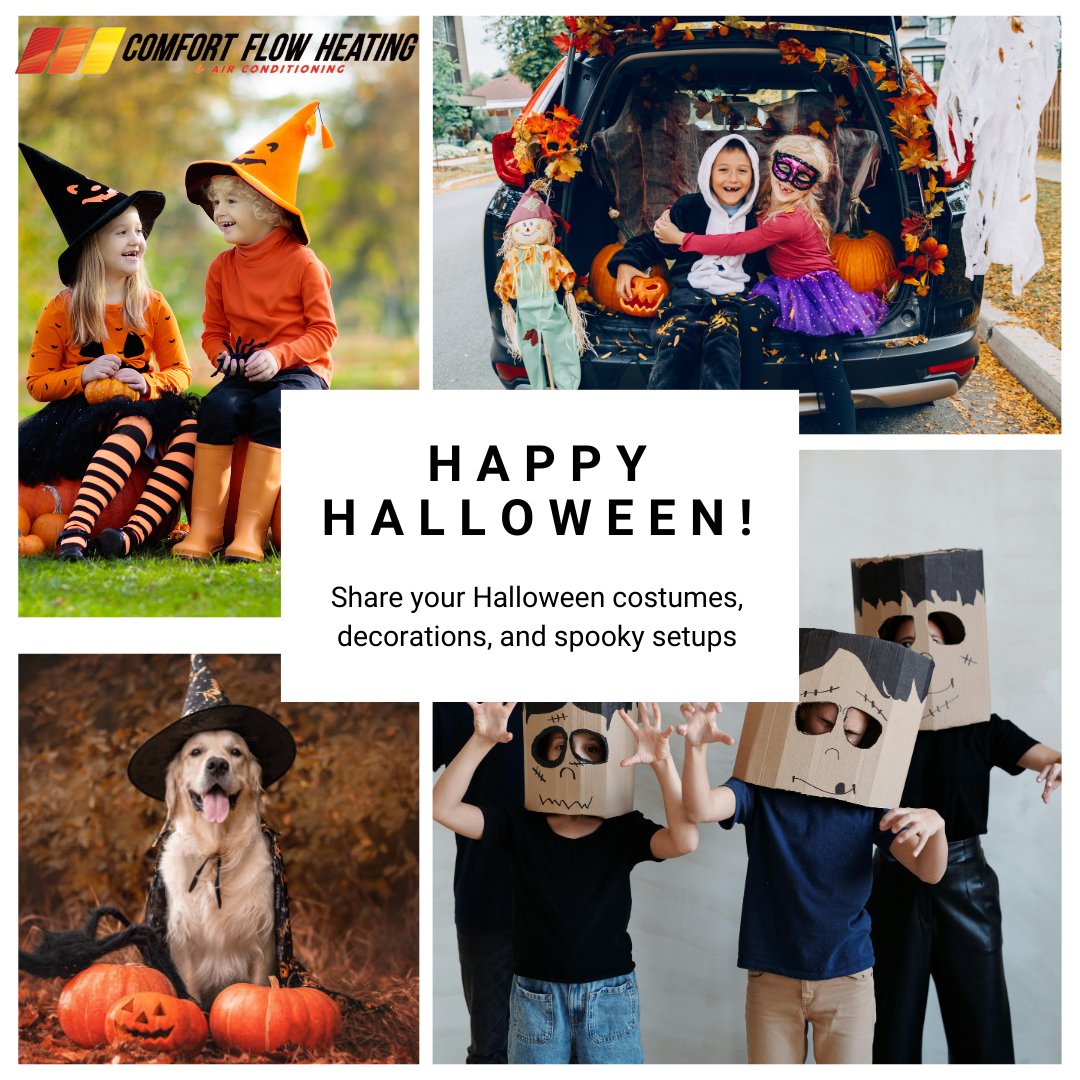ComfortFlow's tweet image. 🎃 Happy Halloween!
We’d love to see how you’re celebrating—share your Halloween costumes, decorations, and spooky setups with us in the comments or tag us in your photos!

Let’s make this Halloween a fun and safe one for everyone! 🐾🍬