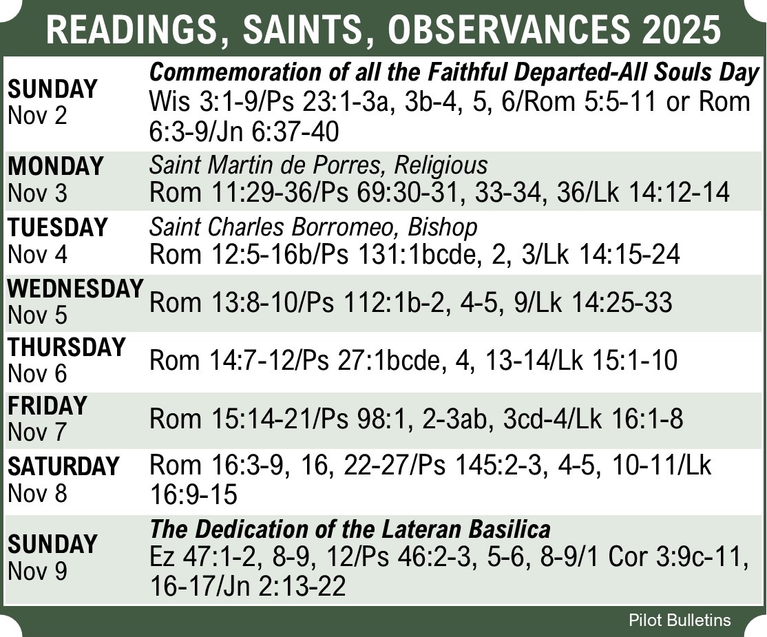 StMarysWinMA's tweet image. #weeklyscripture #stmaryswinma