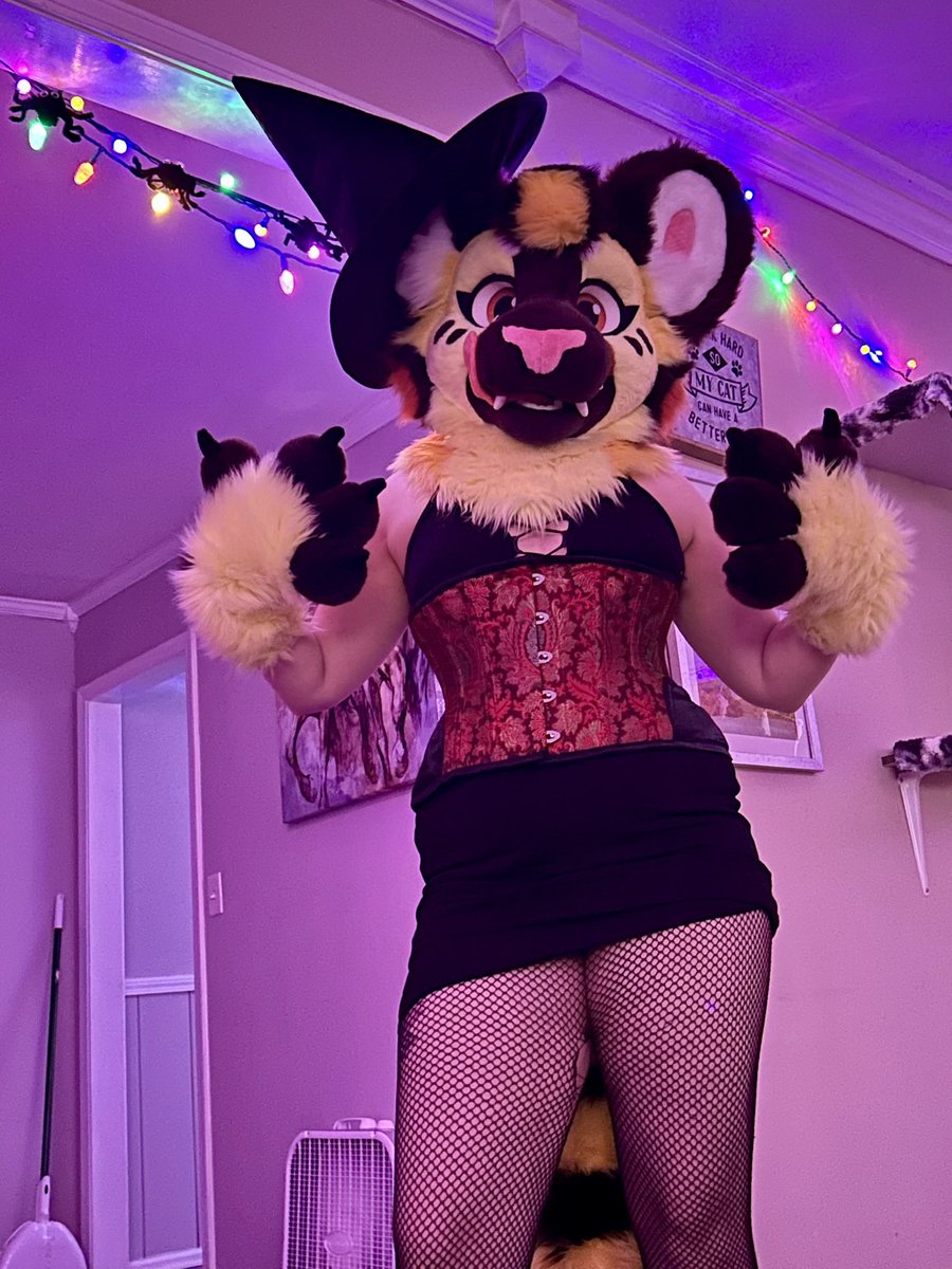 Happy Howl-o-ween 🔮✨