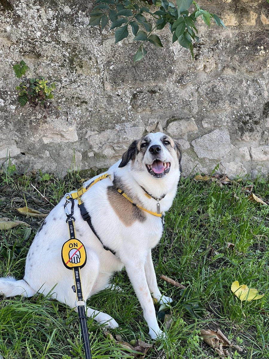 Заебана, но довольна
Увидела сегодня белку впервые в жизни