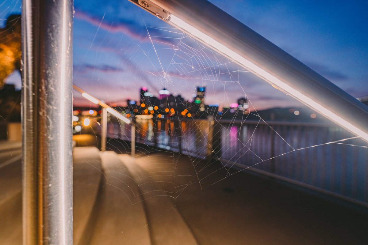DaveDiCello's tweet image. This image seemed appropriate for Halloween today, a view of an abandoned spiderweb on the North Shore of #Pittsburgh last week. I had hoped that a spider would make an appeared, but still came out cool with the city behind it.