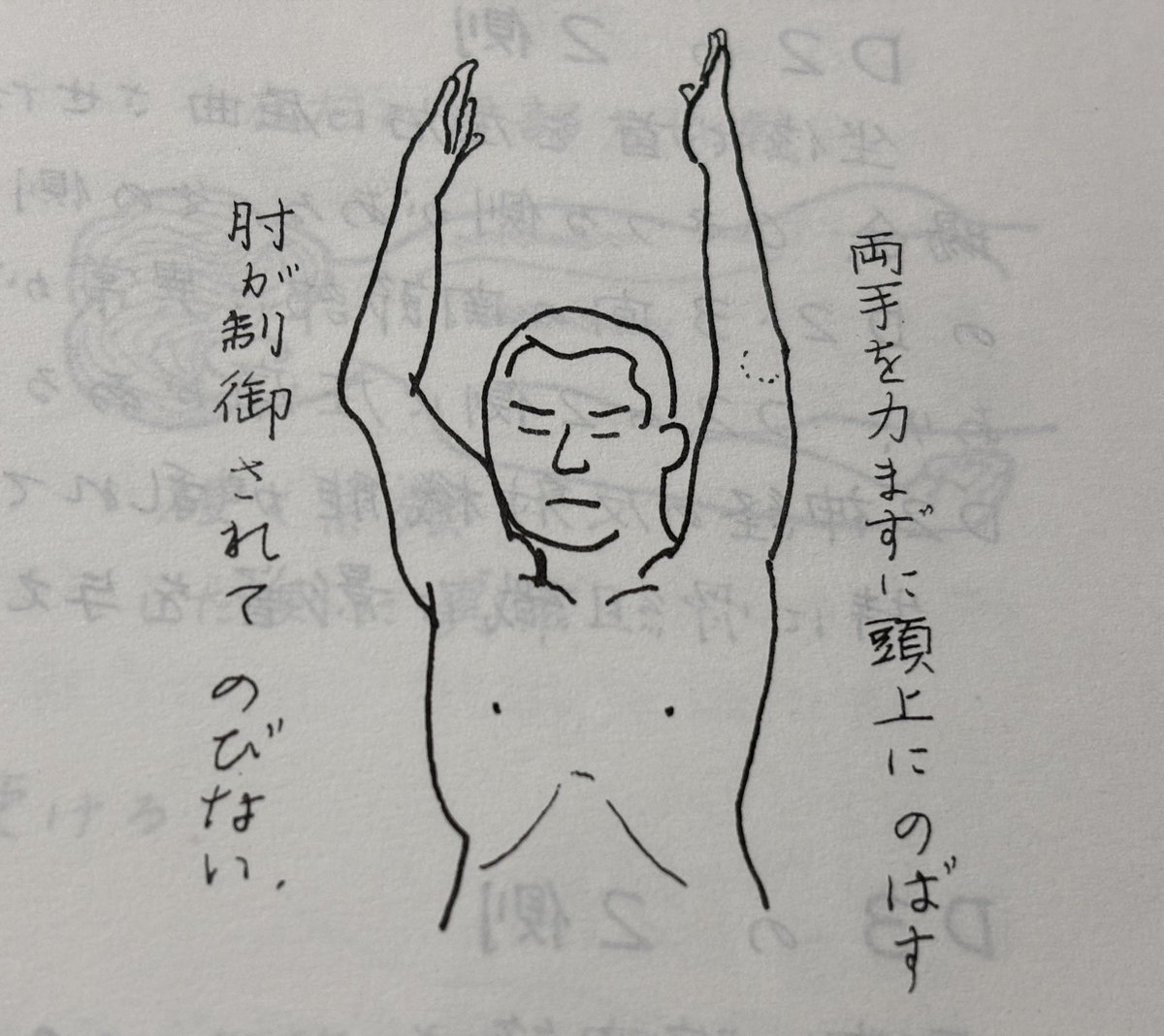 写真で見る 姿勢均整術と整復手技 Amazon.co.jp: 写真で見る姿勢均整術