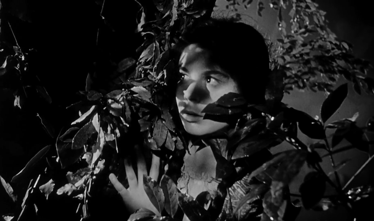 torsodapop's tweet image. #31DaysOfHorror Day 31🎃

BLACK SUNDAY (1960), Mario Bava🖤

Consumed by melancholy, a young Moldavian whose body was consecrated by Satan as a vessel for her evil ancestor feels fate's cold hand upon her. But there is no reason to fear the dead. They sleep very soundly...right?