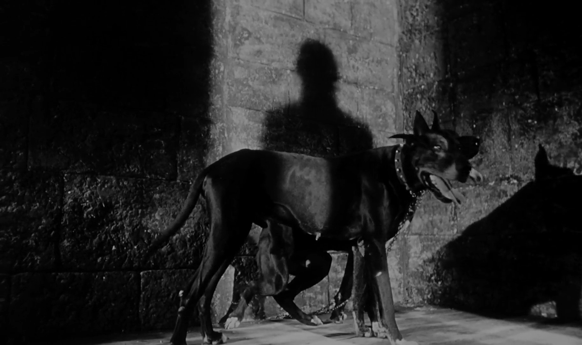 torsodapop's tweet image. #31DaysOfHorror Day 31🎃

BLACK SUNDAY (1960), Mario Bava🖤

Consumed by melancholy, a young Moldavian whose body was consecrated by Satan as a vessel for her evil ancestor feels fate's cold hand upon her. But there is no reason to fear the dead. They sleep very soundly...right?