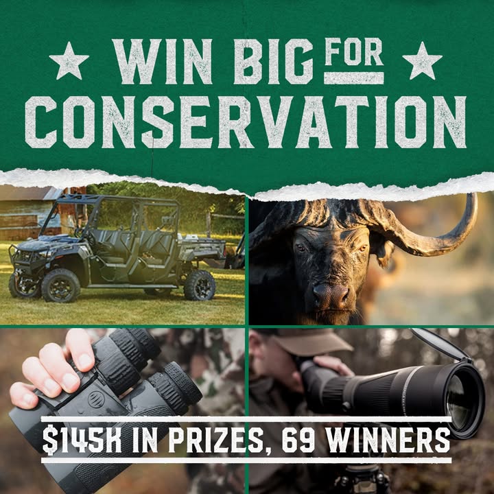 Petersen's Hunting tweet media