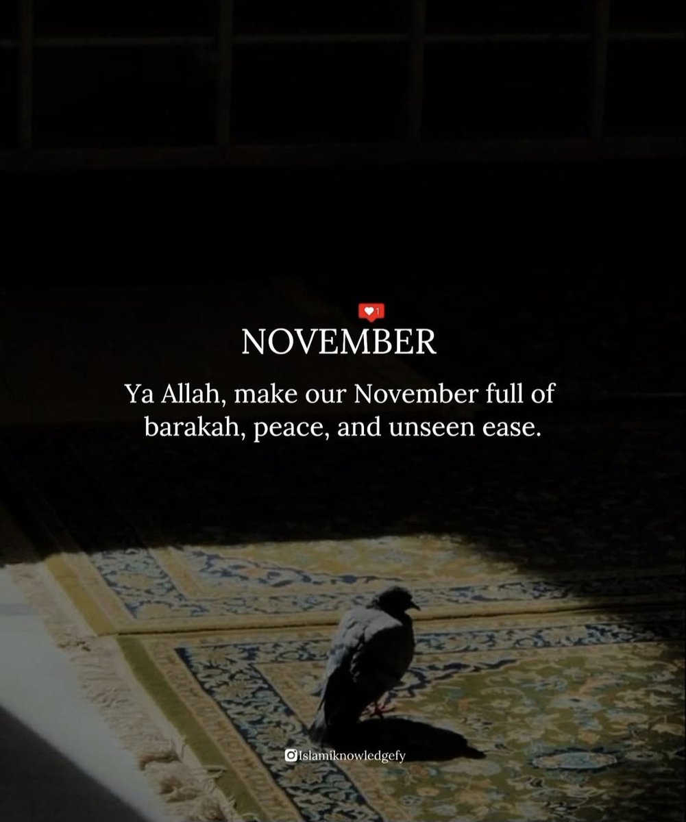 RoShZiMu's tweet photo. November https://t.co/kFAu3Ts2mz