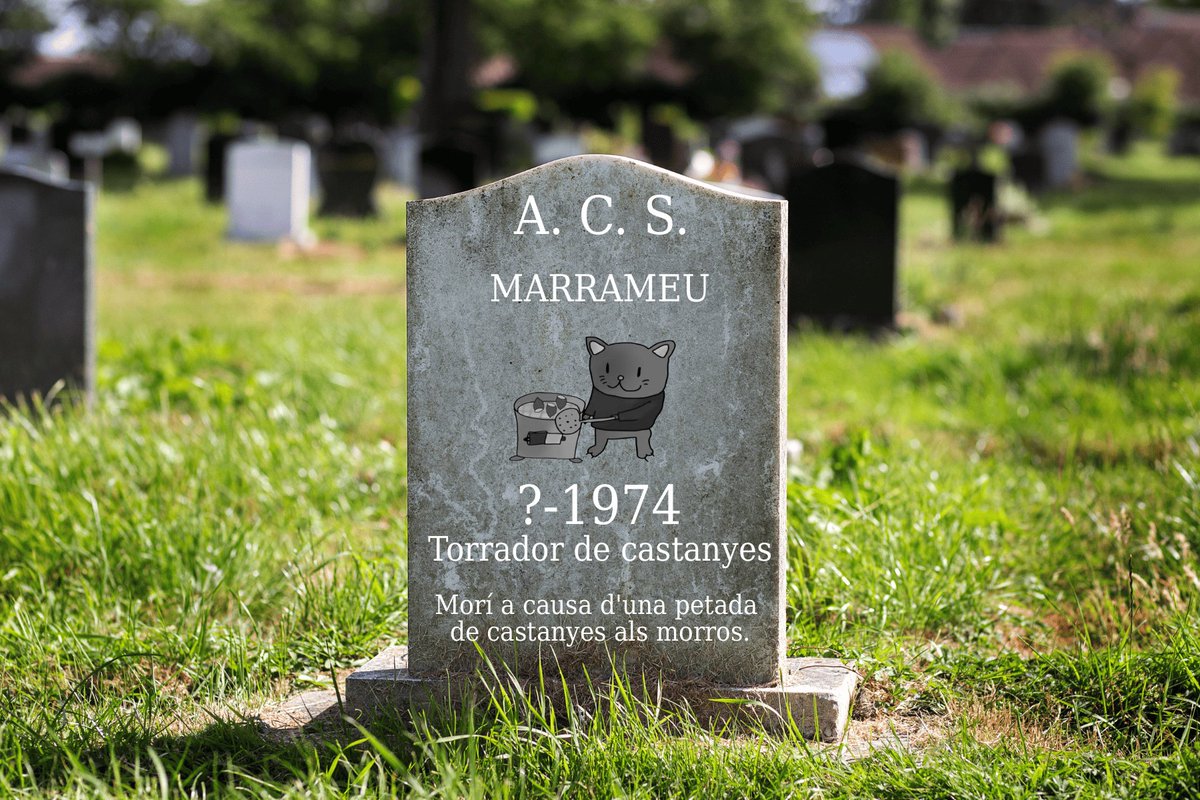 t'estimem Marrameu, bona castanyada a tu també❤️‍🩹🌰