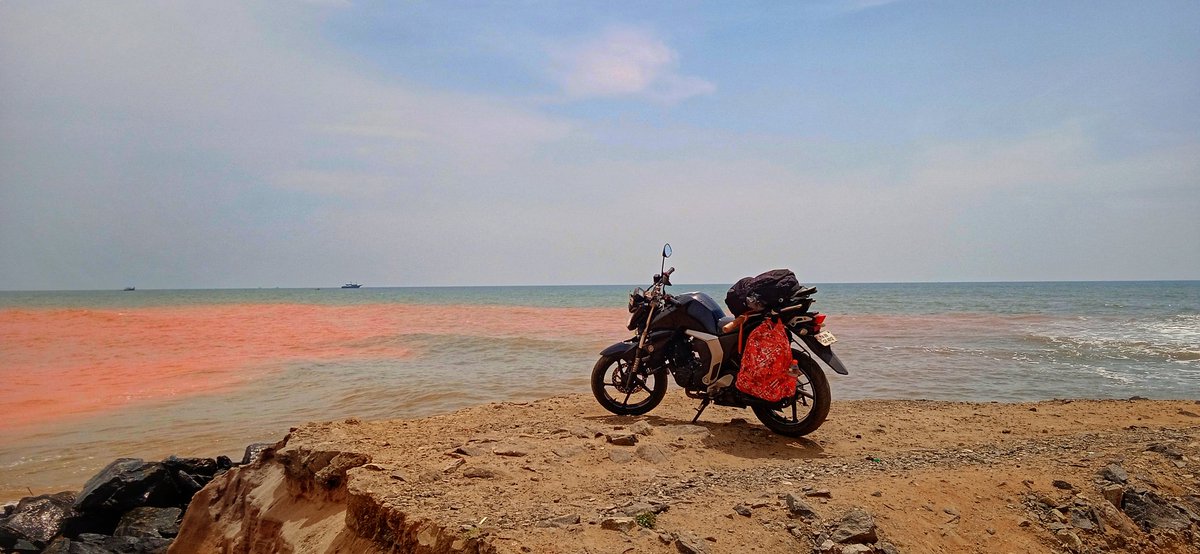 prabhufnf's tweet photo. Interesting beach at Pondicherry #redsoilbeach https://t.co/Bv0nFpmJF7