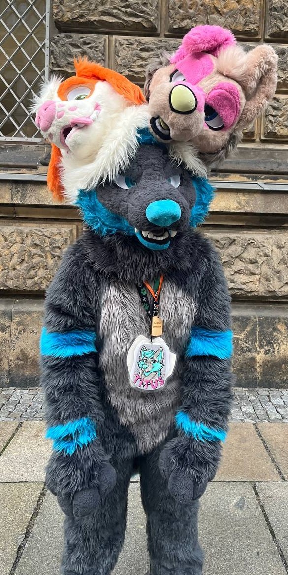 TitusTheWolf's tweet photo. Fursuit Friday pic from the suitwalk today, with the heads from @TobiDoggo and @Blushyfox on my head https://t.co/MSUTi7JHLt