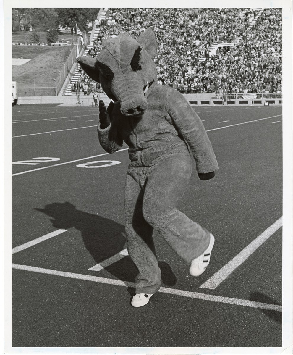 Arkansas State Archives tweet media