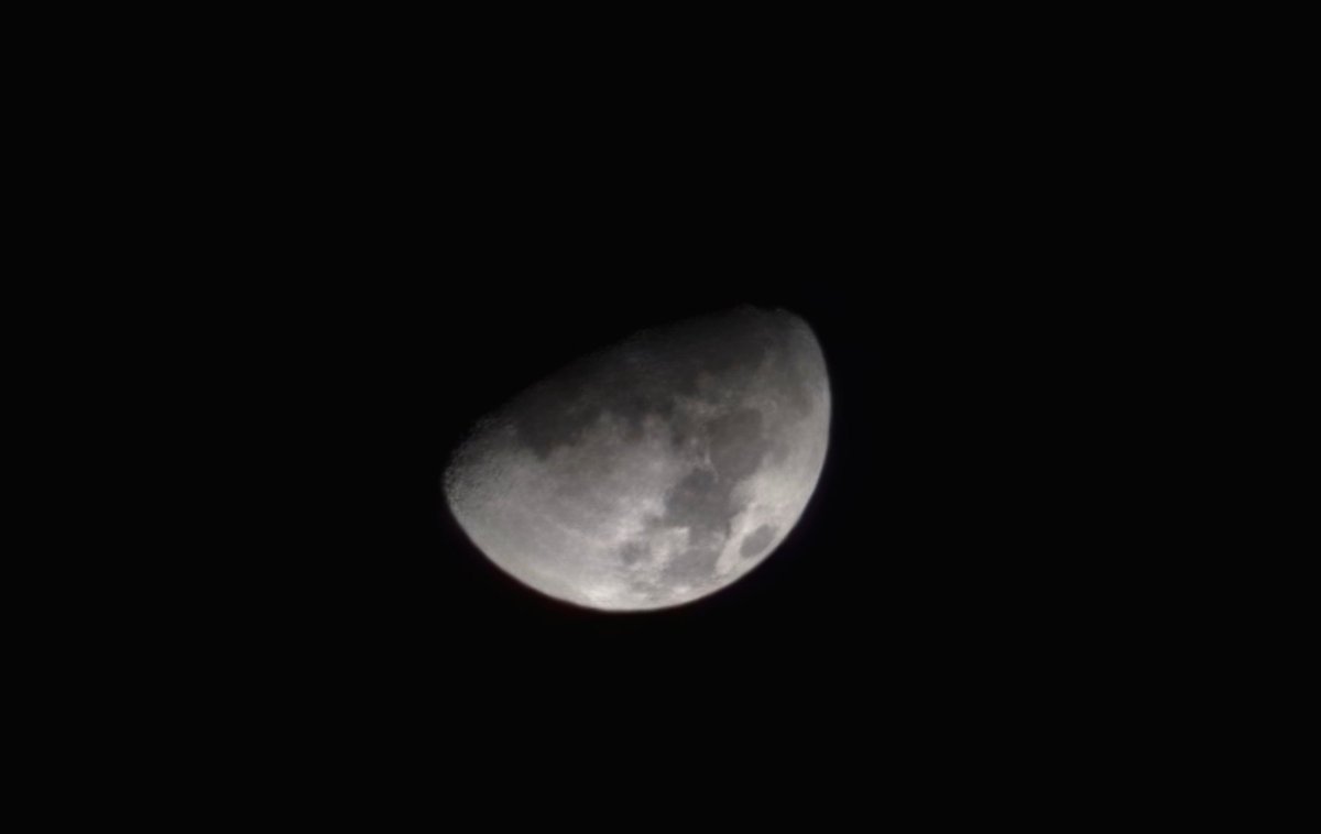 晴（ハ ル） (@_haluta_) on Twitter photo 