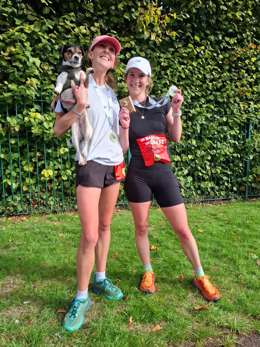 racecheck.com tweet media