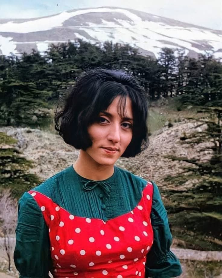 Abby Naamani 🇺🇸 🇱🇧(عبدالله نعماني) tweet media