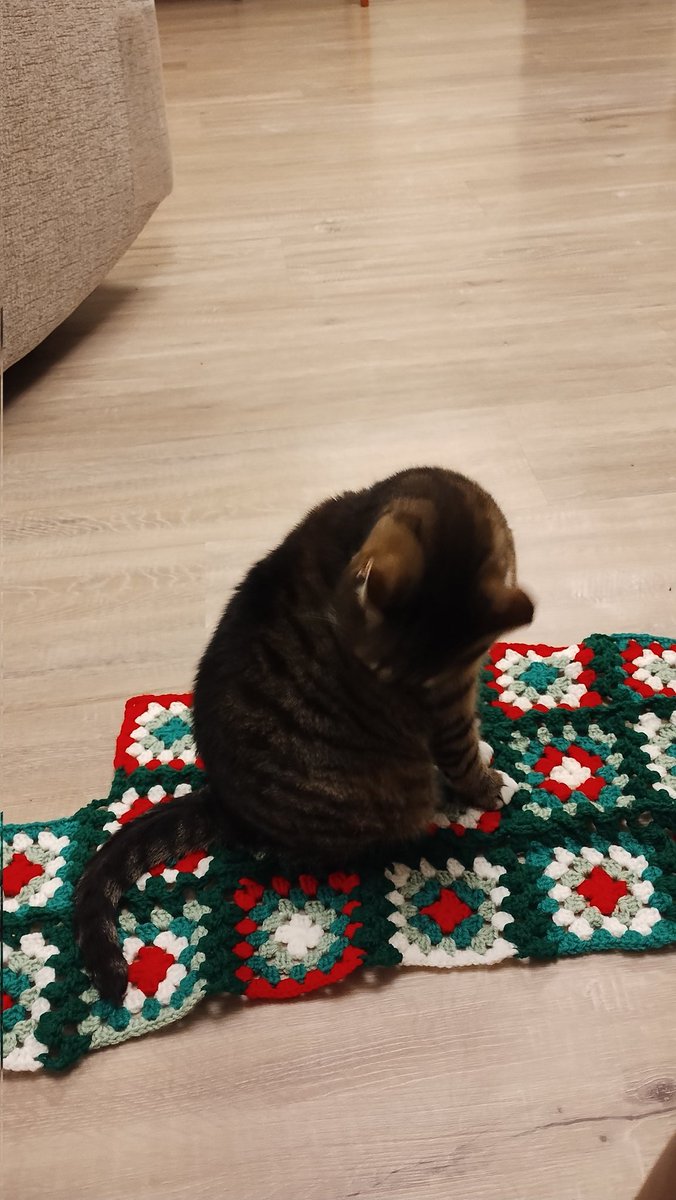 Liz Walton tweet media