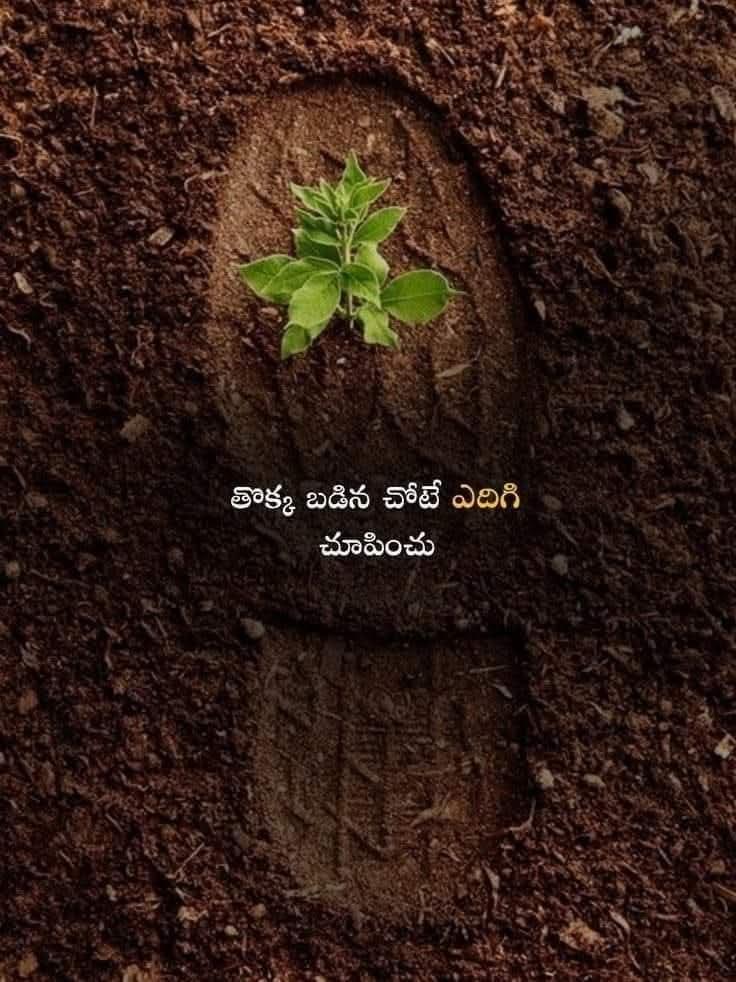 RajshekarPatel's tweet photo. జీవితం అంటే గుడిసి పోవడం
గుడిసిన చోటే మళ్ళీ లేవటం
లేవటం లోనే వుంది జయం 
ఎక్కు తొలి మెట్టు కొట్టు కొండను డీ కొట్టు...... https://t.co/5H6Qt3vHPu
