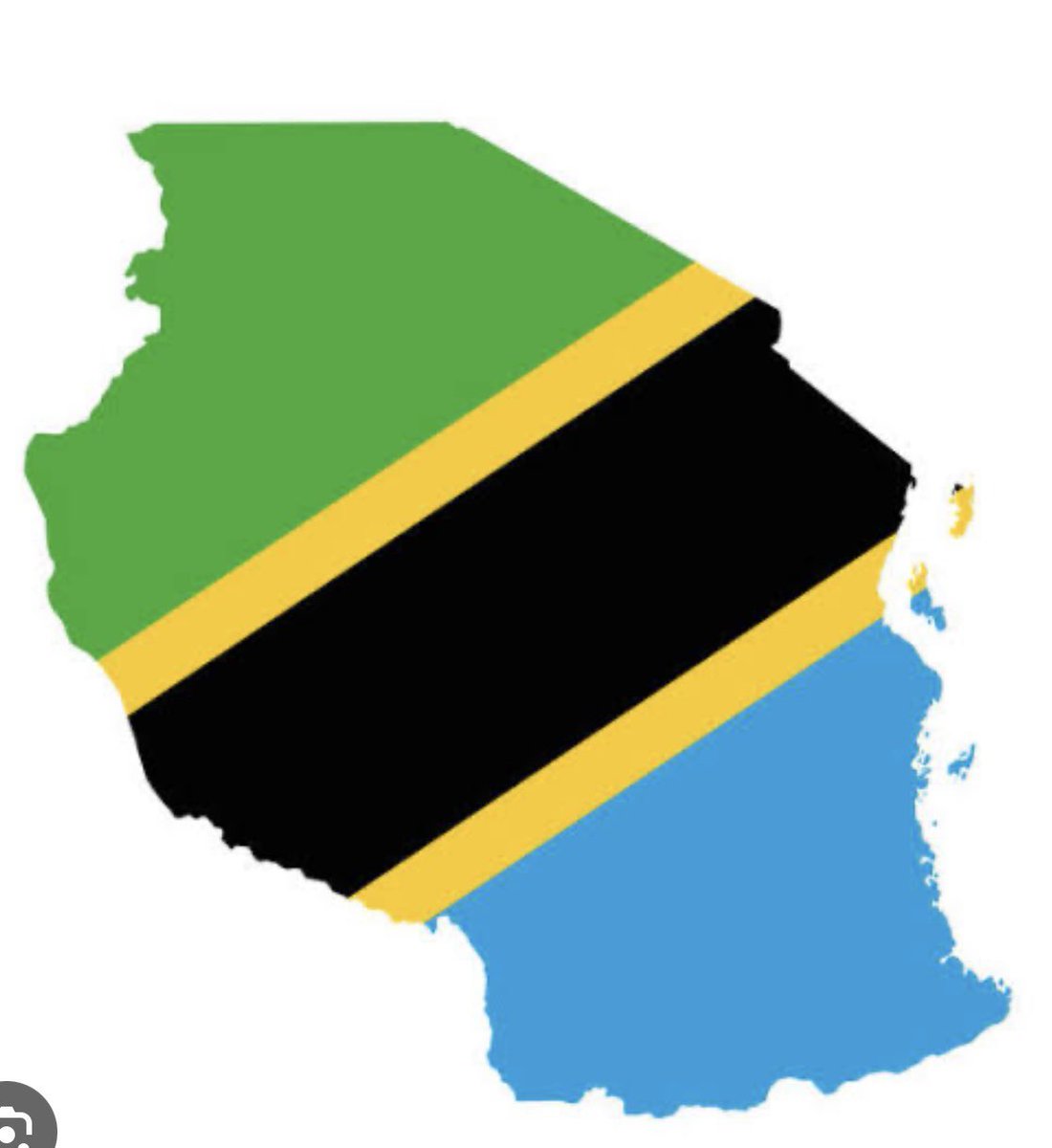 Lmc_89's tweet photo. Rise &amp; shine #Tanzania @SuluhuSamia cannot kill everybody ‼️
#FreeTanzania ✊🏽 #Power2ThePeople ✊🏽 https://t.co/oNedhKhP7N