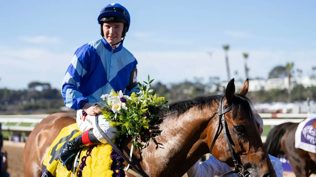 rpbloodstock's tweet photo. "He was a proper racehorse with unreal speed and he showed us he was pretty special from day one."

Breeders' Cup Juvenile Turf Sprint winner Magnum Force to stand at Ballyhane 👉 https://t.co/6He0qigUnX https://t.co/o40q9rO8Cg