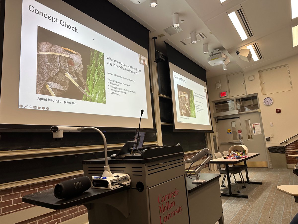 catarmbruster's tweet photo. Today’s guest speaker in Ecology @CarnegieMellon was perfect for Halloween: Arkadiy Garber @theironark from the McCutcheon Lab at ASU, discussing bacterial endosymbionts that support the junk food diets of sap-feeding insects! 😈 https://t.co/zMhkBImqMU