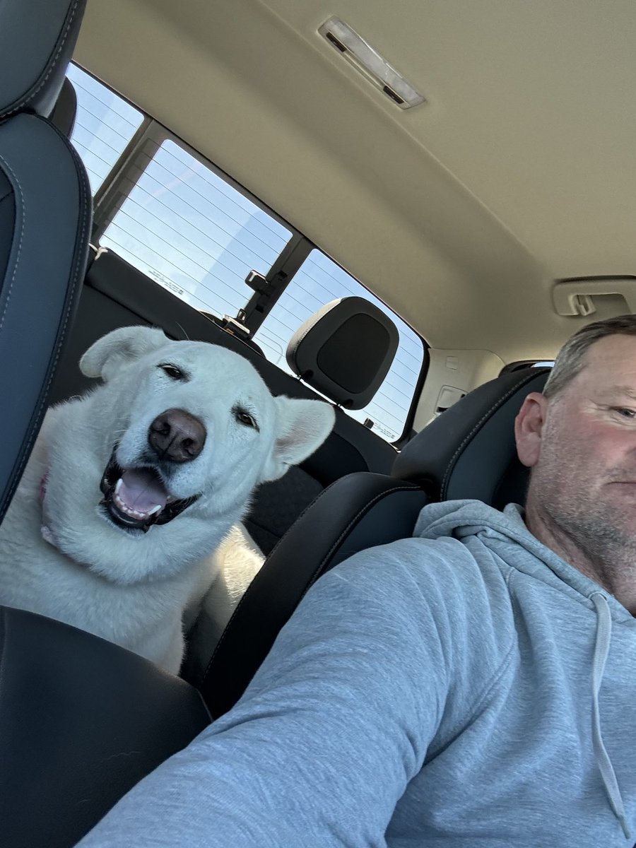 Do golf course dogs ever have a bad day? I guess when they have to stay home. #happydog ⁦<a href="/DogsOfTurf/">Dogs Of Turf</a>⁩