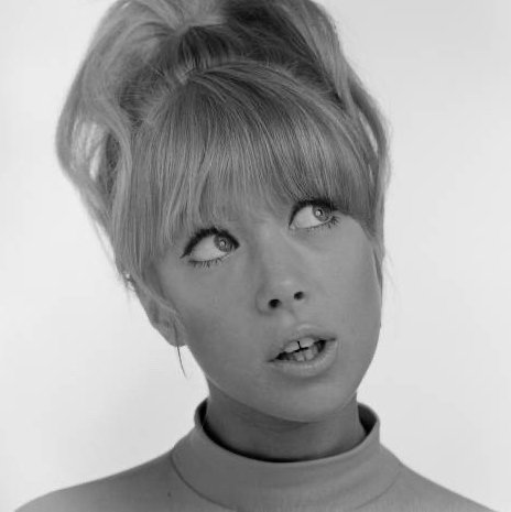 dailyaimeelou's tweet image. 