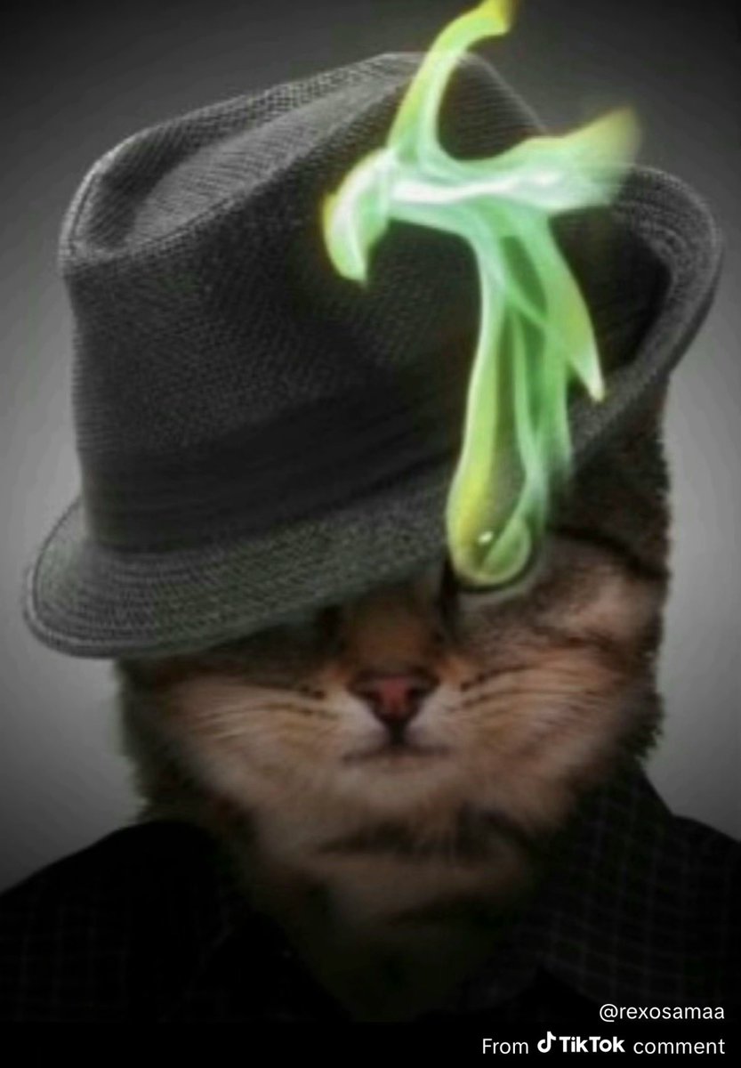 Saaaar why are you shorting in the BULL market